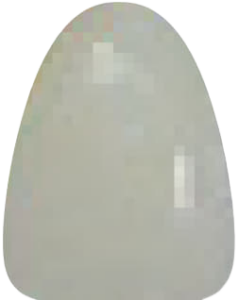 A1