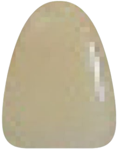 A4