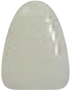 B1
