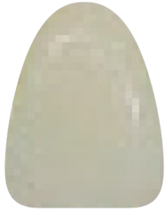 B2