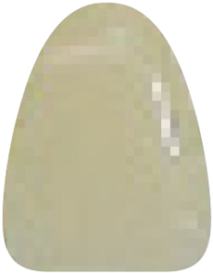 B4