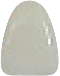 C1