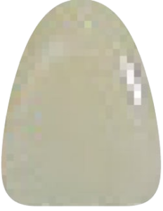 C2