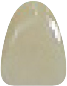 C4