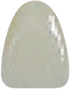 D2