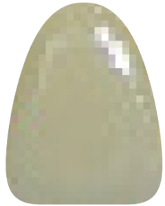 D4